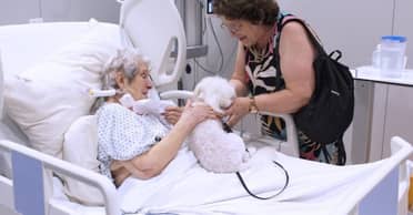 "Sanar con el corazón": Emotivo reencuentro marca la primera visita de una mascota a la Unidad de Paciente Crítico en Curicó