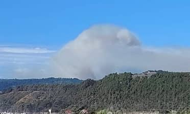 Alerta SAE: Ordenan evacuar sector Quebrada Culenmapu en Vichuquén por avance de incendio forestal