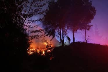 Siguen en combate incendios forestales en Linares y Parral
