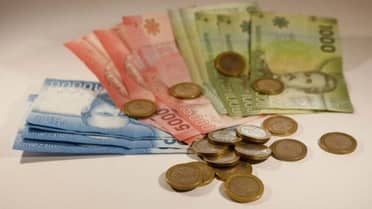 Aporte Familiar Permanente 2026: Conozca las fechas y montos del ex Bono Marzo