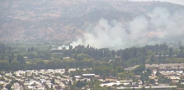 Incendio forestal en Curicó: Bomberos declaró emergencia en sector Convento Viejo