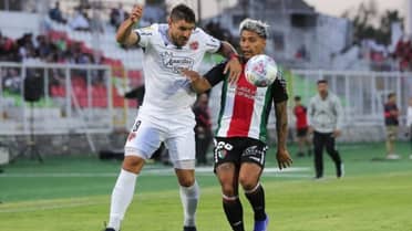 Insólito: Hincha de Ñublense se desnudó para distraer a jugador de Palestino en pleno penal