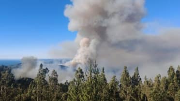 Incendio en Vichuquén se mantiene en combate con 380 hectáreas afectadas: Bomberos de Maule y O'Higgins protegen viviendas