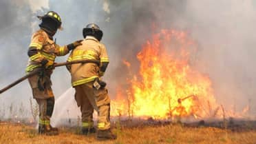 CONAF entregó balance de incendios forestales en la provincia de Curicó y llamó a reforzar prevención por altas temperaturas