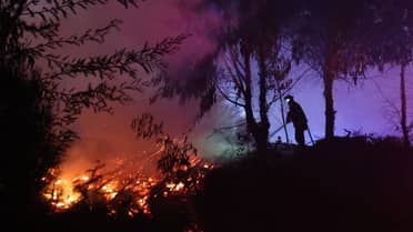 Rauco: Bomberos combate dos focos de incendio a orillas de la Ruta J-60