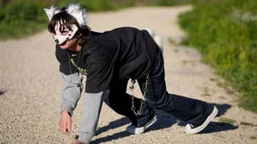 Furor por los “therians” en Chile: Psicólogo aclara que la tendencia viral no es un trastorno mental