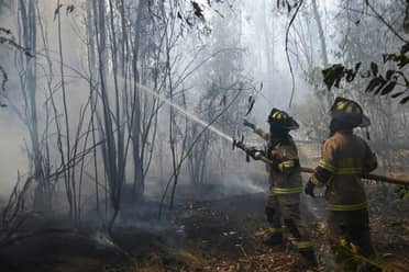 "Condición poco habitual": Caída de rayos origina dos incendios forestales en la provincia de Linares