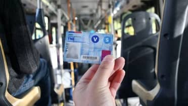 Senadora Vodanovic oficia al Mineduc ante anuncio de transportistas de no validar la TNE desde junio