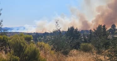 Incendio forestal "El Bosque" en Parral consume más de mil hectáreas y moviliza amplio despliegue aéreo y terrestre