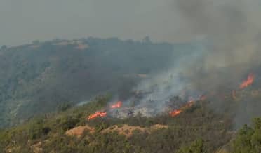 Evacuación en Teno: Incendio forestal avanza y amenaza sectores poblados