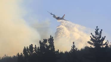 Urgente: SENAPRED ordena evacuar sector Cuesta El Peral en Teno por incendio forestal