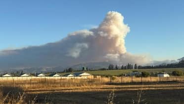 Declaran Alerta Roja para Curepto y Pencahue por descontrolado avance del incendio forestal "El Ajial"