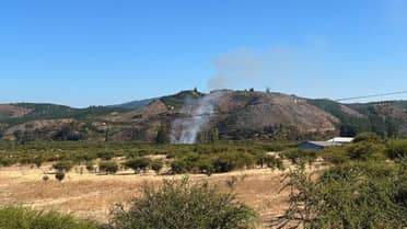 Alarma en Hualañé: Activan operativo de emergencia por nuevo incendio forestal en el camino a Los Coipos