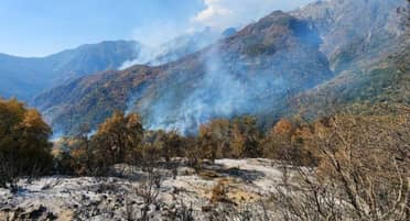 Nueve incendios forestales afectan al Maule: Conaf concentra esfuerzos en Parral y Linares