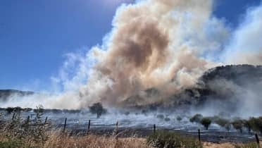 Bomberos y CONAF logran controlar el incendio forestal "El Peral" en Sagrada Familia y trabajan en su extinción total