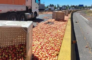 Camión pierde carga de manzanas y genera congestión en la Ruta 5 Sur
