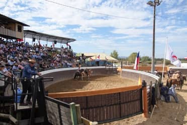 Medialuna Municipal de Teno reabrió sus puertas tras casi una década de abandono