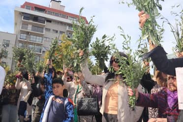 Con Domingo de Ramos comienza este 29 de marzo la celebración de Semana Santa en el Maule