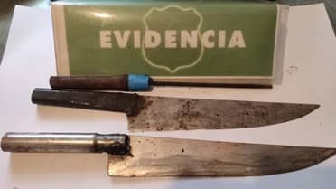 Dejan en libertad a hombre que mató y faenó ilegalmente un cerdo en Los Niches