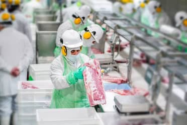 Master Agroindustrial adquiere el 38% de la empresa maulina Coexca S.A. para potenciar su expansión internacional