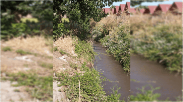 Vecinos continúan denunciando malos olores por contaminación en canal La Cañada