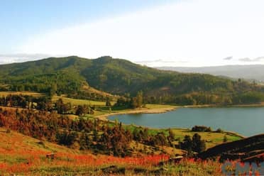 Reserva Nacional Laguna Torca: Guía para visitar el santuario de aves en el Maule