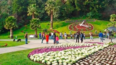 Viña del Mar moderniza su icónico Reloj de Flores