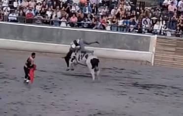 Concejala oficia al municipio por evento de Jaripeo en Curicó: "Es un hecho de maltrato animal"