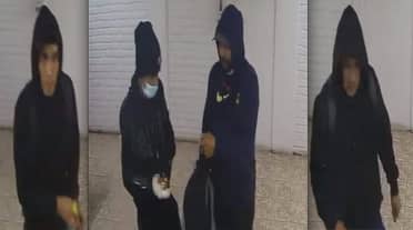 Delincuentes ingresan a oficinas de empresa agrícola en Teno y sustraen equipos computacionales