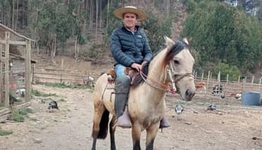 Tragedia en Vichuquén: Conocido agricultor fallece tras recibir fatal patada de un caballo