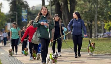Este domingo se realizará la "Gran Caminata Canina 2026" por el aniversario de Carabineros