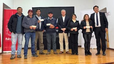 Millonaria inversión agrícola en Romeral: Cerca de 340 pequeños productores reciben fondos de fortalecimiento