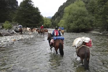Municipio de Romeral realiza patrullajes para verificar descenso de arrieros desde la cordillera