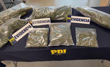 PDI desarticula punto de venta de drogas en Linares e incauta más de tres kilos de cannabis