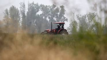 Diputado Muñoz advierte crisis en la agricultura alertando sobre riesgo en la seguridad alimentaria del país