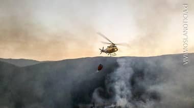 Controlan incendio forestal en Vichuquén