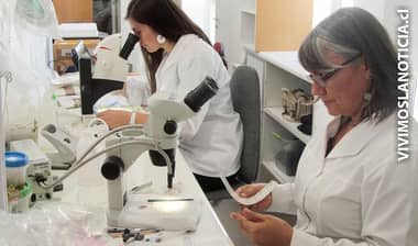 Abre nuevo laboratorio regional de Lobesia Botrana