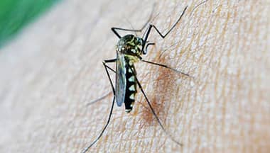 Enfermera llama a la tranquilidad en Chile continental frente a Virus Zika