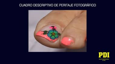 [FOTOS] PDI pide ayuda para identificar a mujer descuartizada