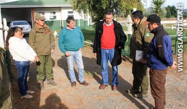 [FOTOS] Arrieros aislados se encuentran en buenas condiciones