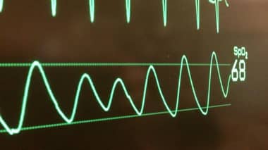 Formalización de Nelly Nieto revela red de licencias médicas falsas desde 2011