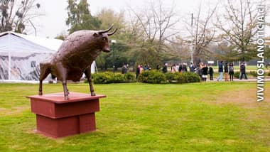 “Domador de Metales” del escultor Sergio Castillo se exhiben en UTalca