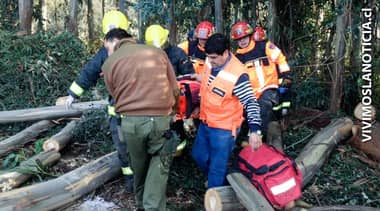Trabajador se accidentó mientras talaba bosque en Romeral