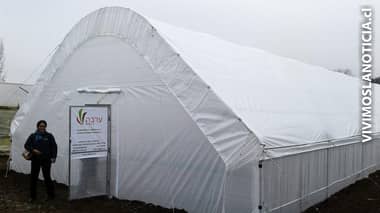 Invernaderos israelitas implementan en Maule