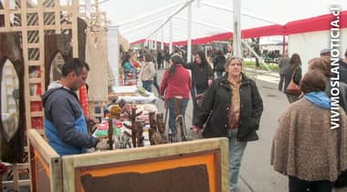 [FOTOS] A las comunas de trasladará la Fiesta del Vino