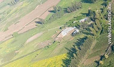 Con avioneta buscan caballos inscritos robados