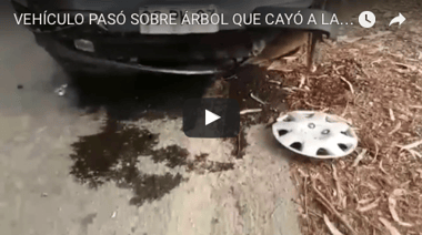 [VIDEO] Milagrosa escapada de familia que viajaba a Iloca