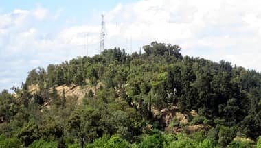 ? Organizan operativo de limpieza en Parque Cerro Condell de Curicó