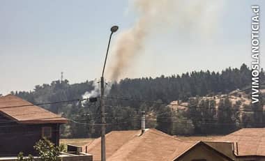 Incendio Forestal afectó al Parque Cerro Condell de Curicó