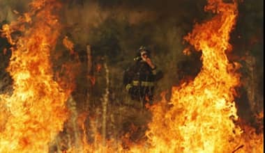 [EXCLUSIVO] Aclaran origen de incendio forestal en Vichuquén